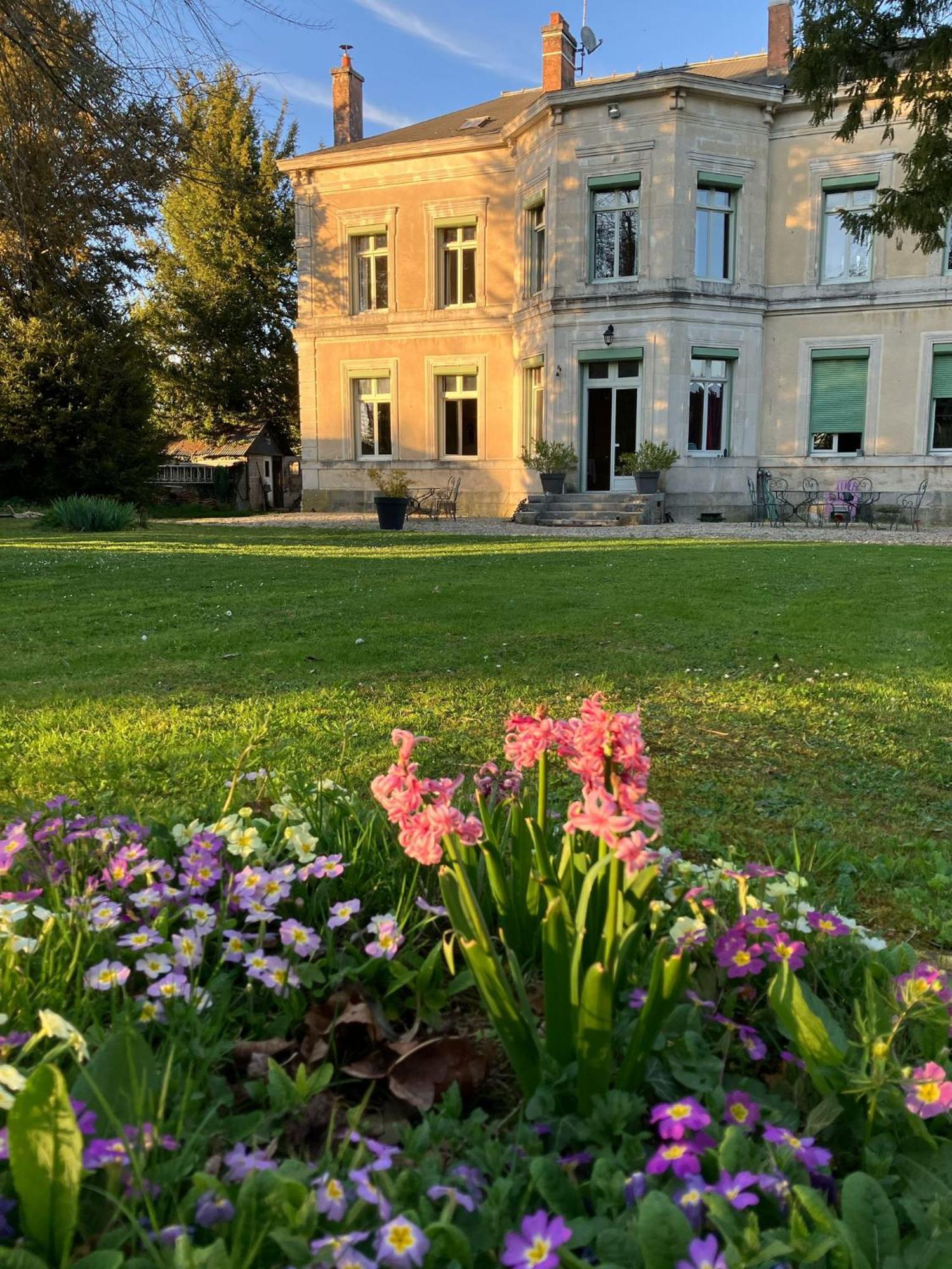 Chateau De Pougy エクステリア 写真