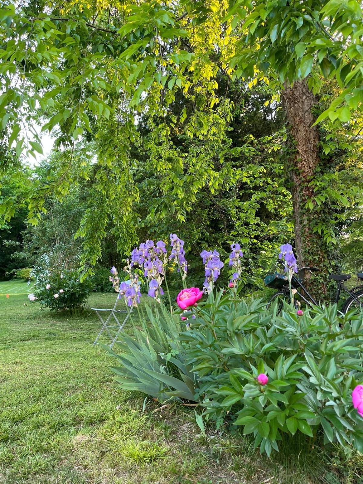 Chateau De Pougy エクステリア 写真